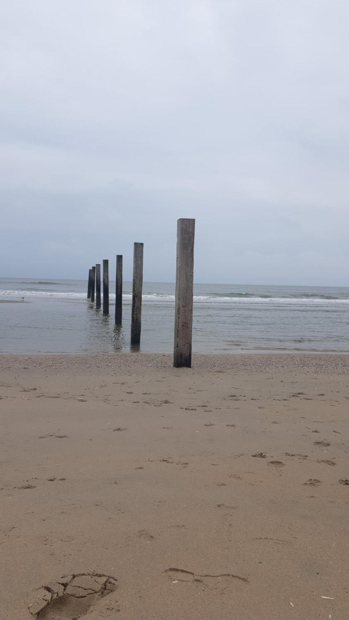 Rembrandts Beach View 赞德沃特 外观 照片