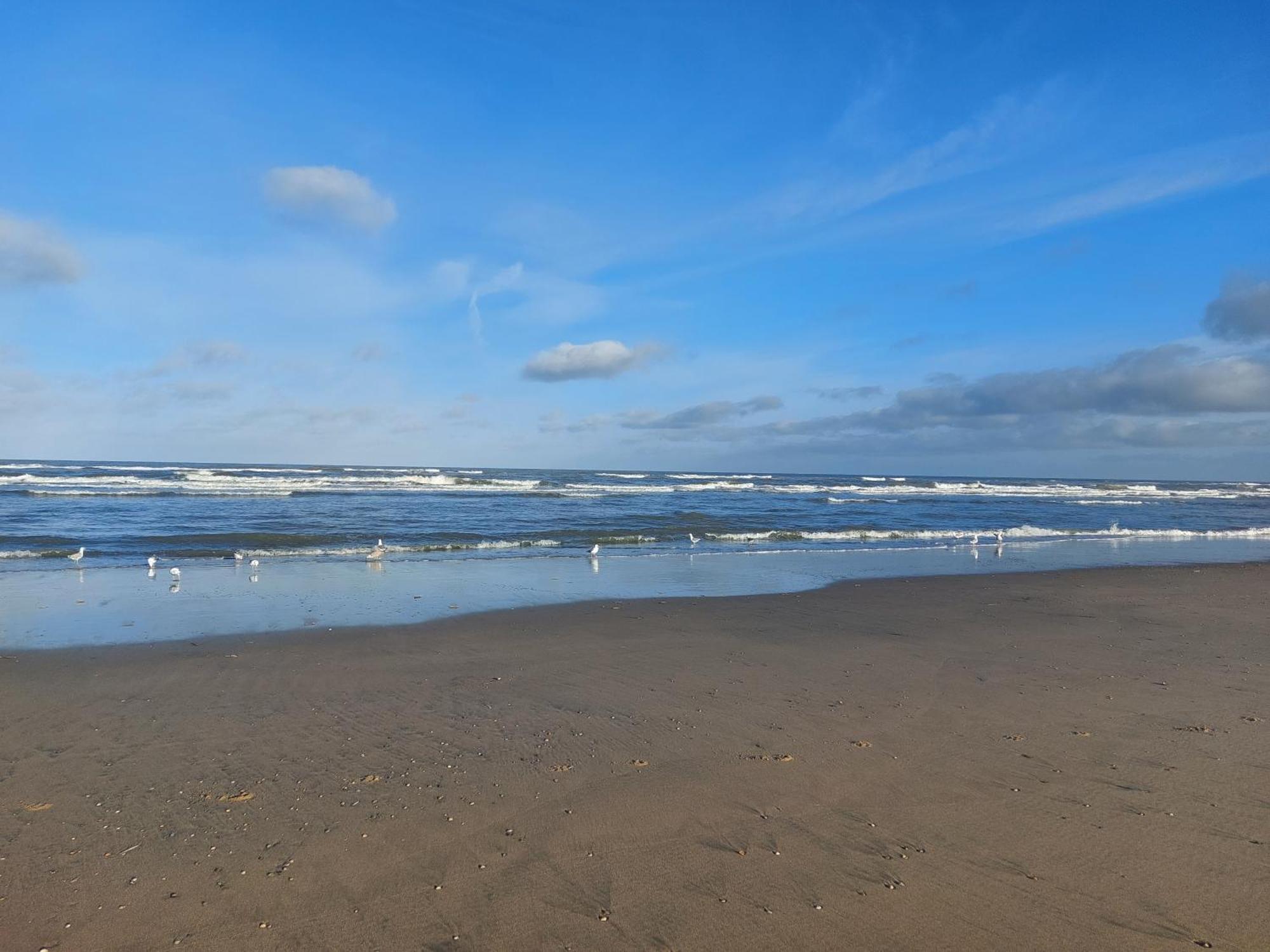 Rembrandts Beach View 赞德沃特 客房 照片